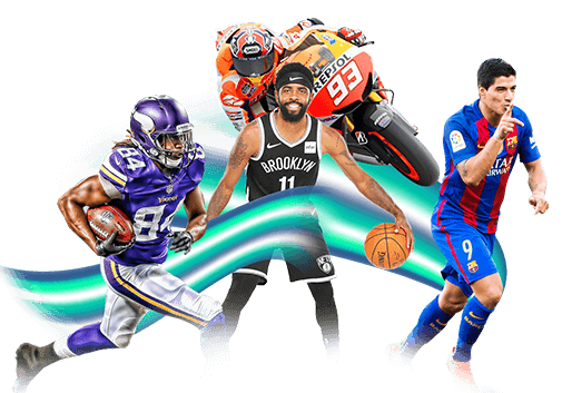 Muitos esportes para apostar no 14vin